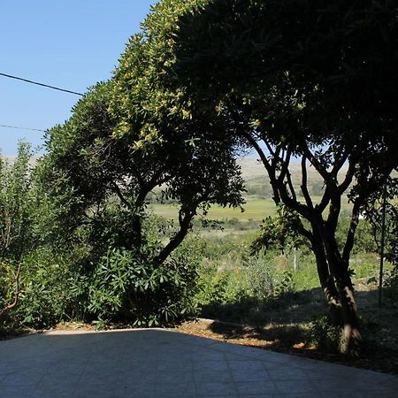 Family Friendly Seaside Apartments Vlasici, Pag - 4319 Dış mekan fotoğraf
