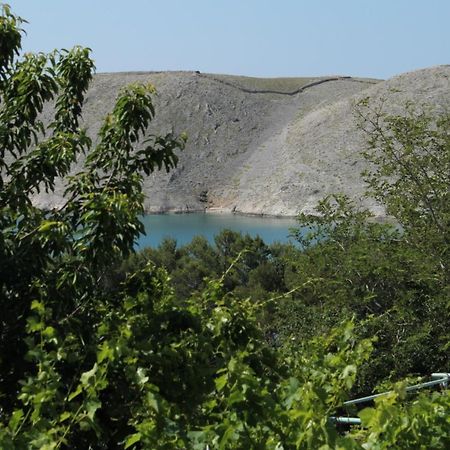 Family Friendly Seaside Apartments Vlasici, Pag - 4319 Dış mekan fotoğraf